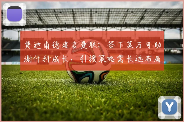 费迪南德建言曼联：签下莱万可助谢什科成长，引援策略需长远布局