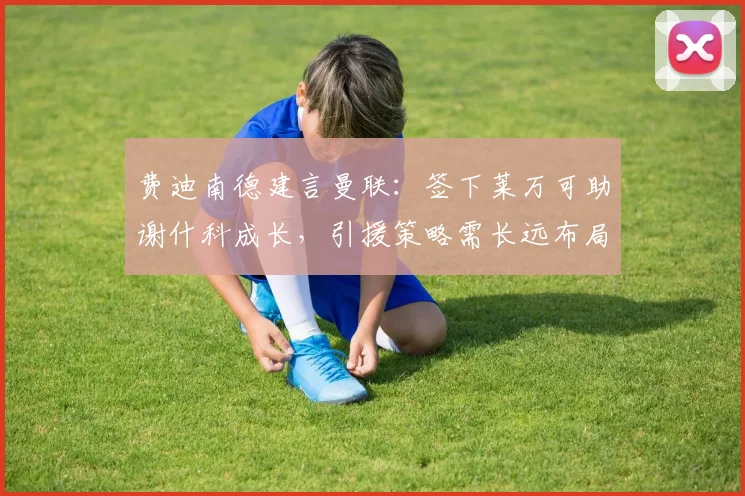 费迪南德建言曼联：签下莱万可助谢什科成长，引援策略需长远布局